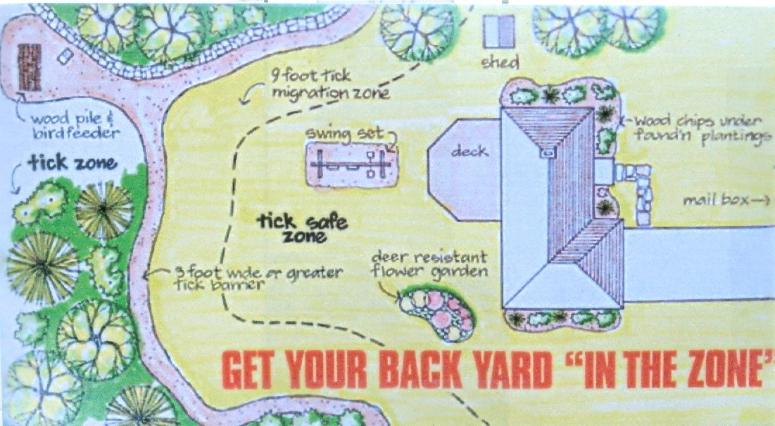 graphic showing a tick free zone and a tick zone in the back yard of a house.